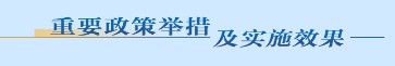 重要政策舉措及實施效果